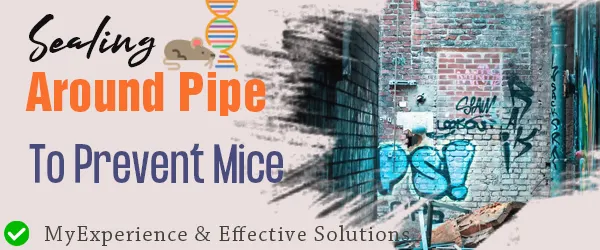 how to seal around pipes to prevent mice
