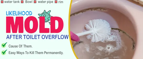 likelihood of mold after toilet overflow
