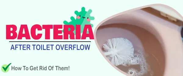 toilet overflow bacteria