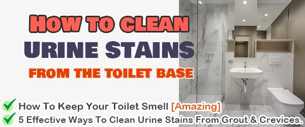 urine stain around base of toilet